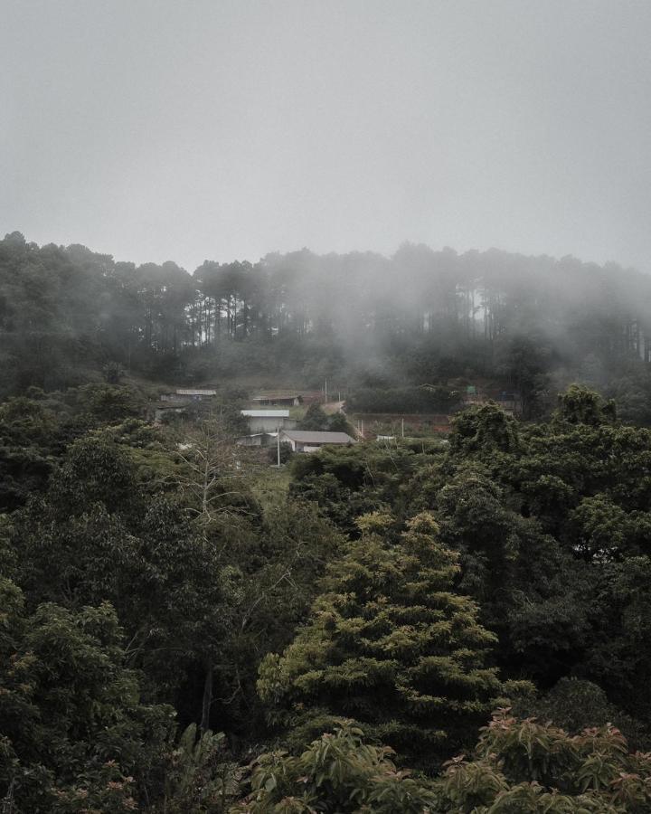Phu Morinn Camping ม่อนแจ่ม Mon Jam Buitenkant foto