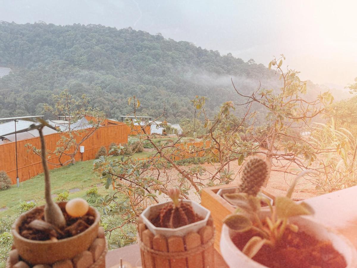 Phu Morinn Camping ม่อนแจ่ม Mon Jam Buitenkant foto